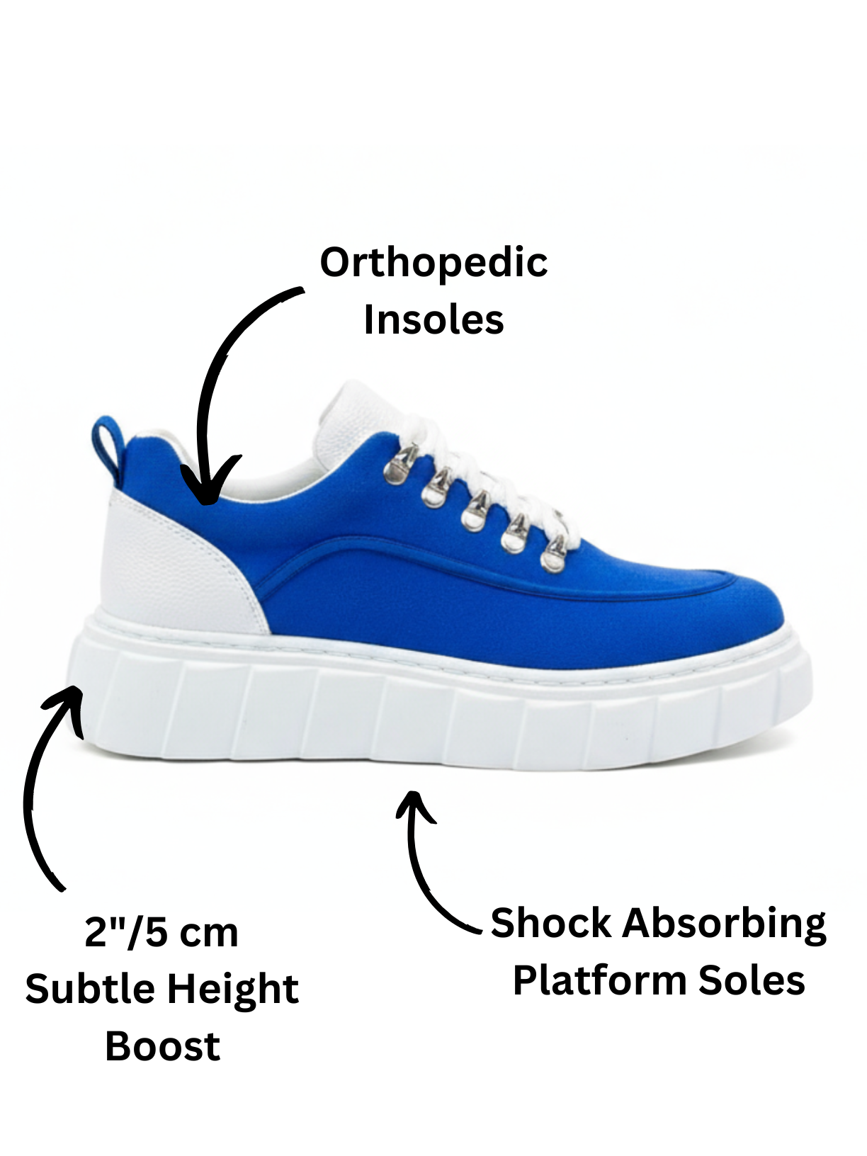 Men's Vega Cobalt