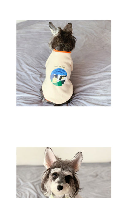 Clothes For Small Milk Cats To Keep Warm In Spring And Autumn British Short Pets
