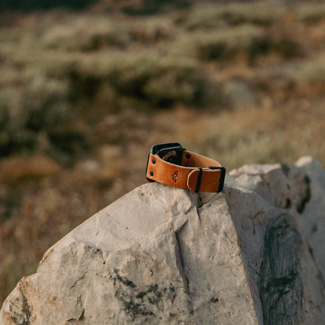 Apple Watch Band
