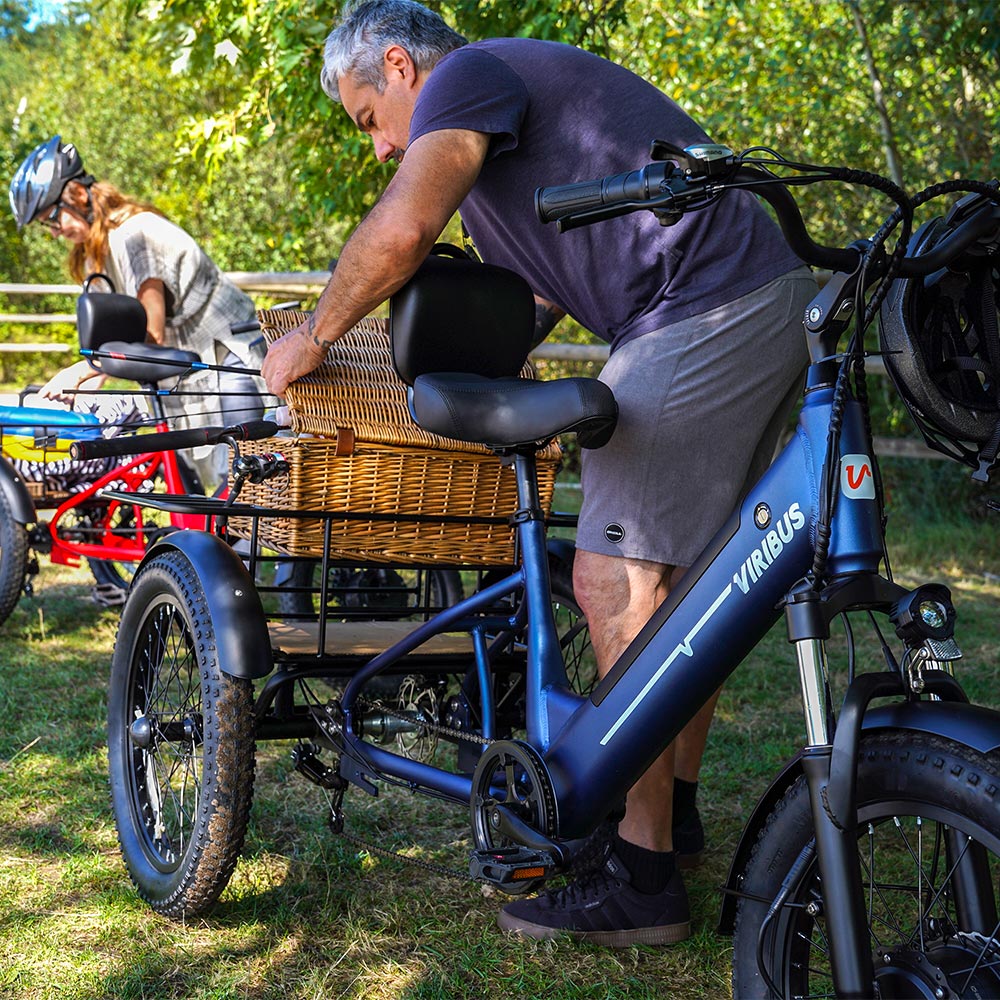 Viribus SC5 Fat Tire Electric Tricycle